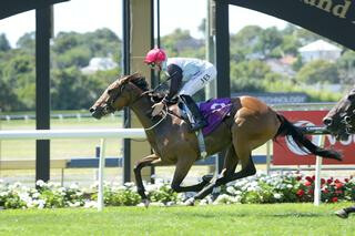 Pinmedown (NZ) has moved into third following Group 3 Sunline Vase victory.